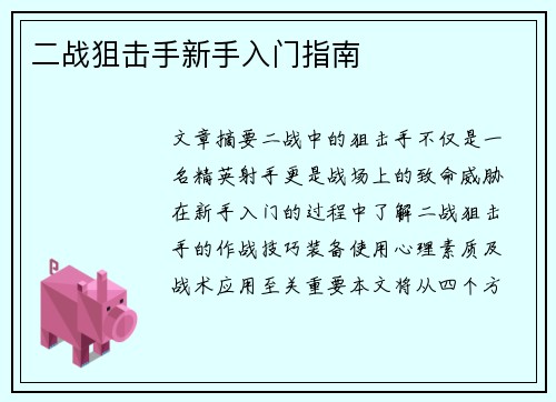 二战狙击手新手入门指南